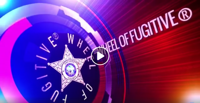 The Wheel of Fugitive from Brevard County Sheriff Office Photo